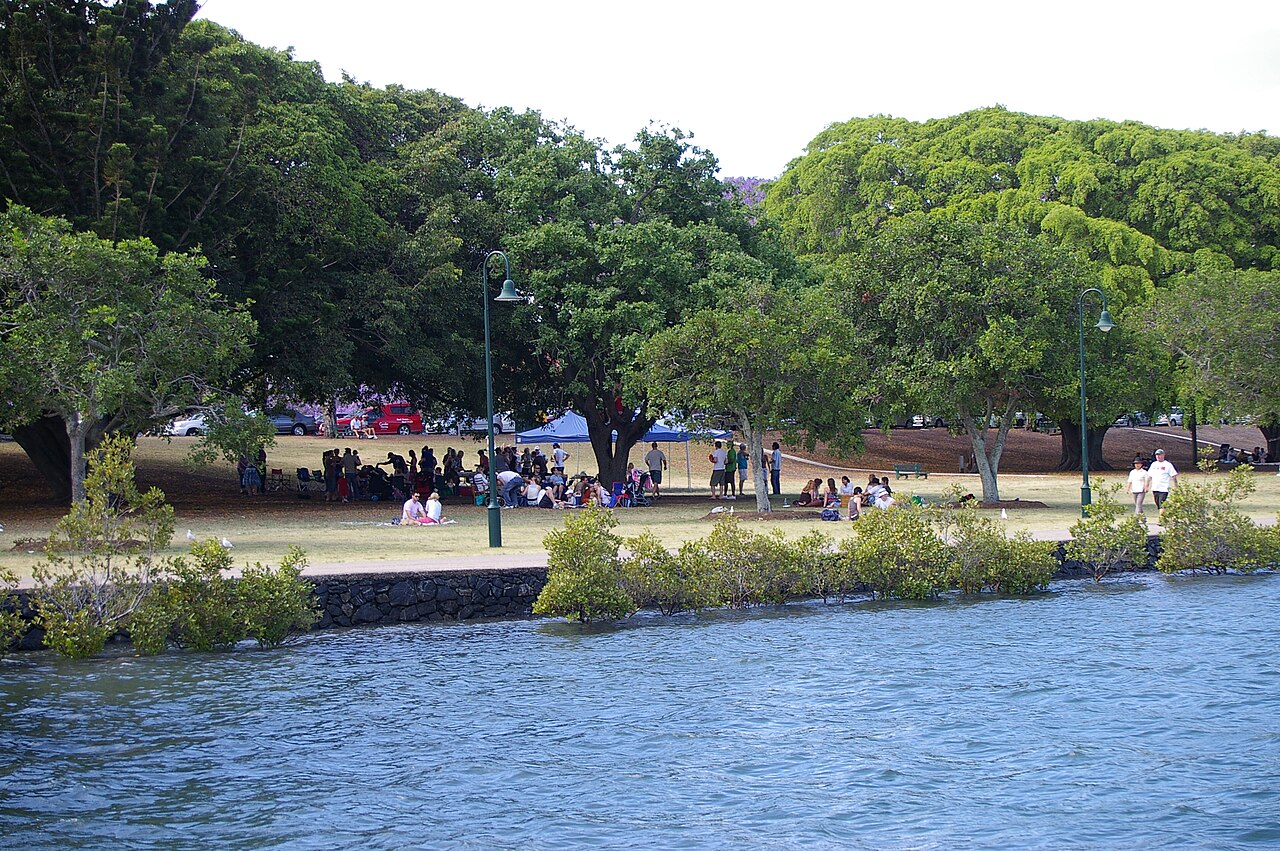 Lush tropical plants and winding paths in the Brisbane Botanic Gardens